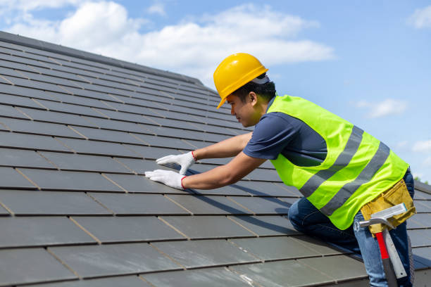 Best Solar Panel Roofing Installation  in Robinson, IL